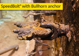 SILICON's SpeedBolt and Bullhorn anchor