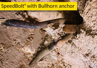 SILICON's SpeedBolt with bullhorn anchor